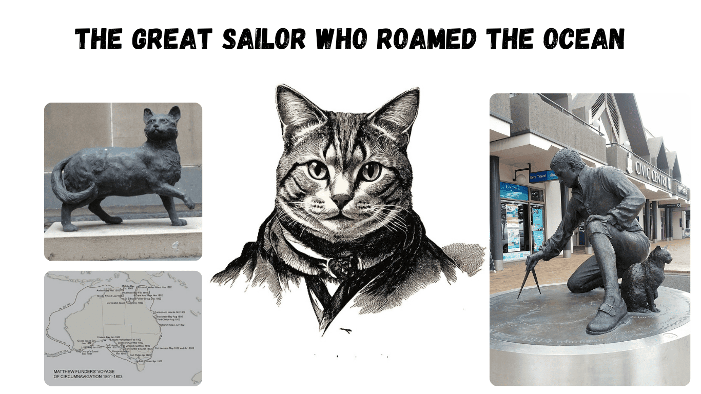 Trim: Matthew Flinders’ Traveling Companion – The Cat Who Conquered the Seas